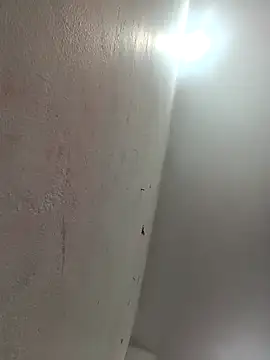 Appypie online show from February 2026 07:45:01 AM