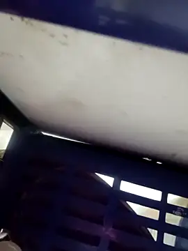 thunderrony online show from September 2025 06:43:02 PM