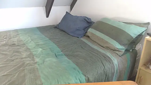 idiotpig66 online show from March 2025 04:19:01 AM