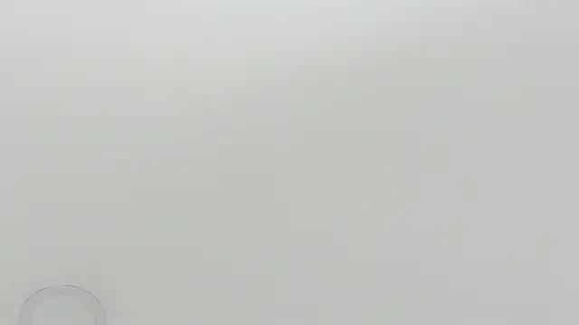 scarletross  online show from February 2026 02:38:02 PM