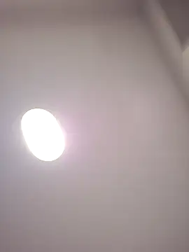 Danypeluche online show from December 2025 08:40:02 AM