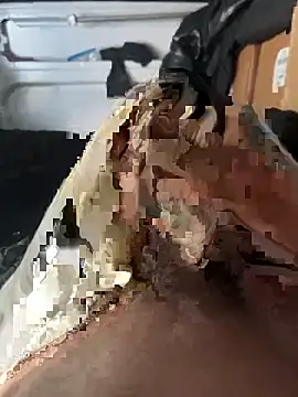 markusnumberone online show from April 2026 12:17:01 PM