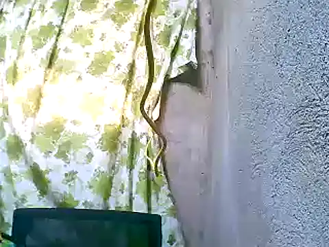 Snapshot of Sweeetgurll chatting on November 2025 01:27:02 AM Sweeetgurll online show from November 2025 01:27:02 AM