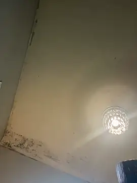 Victoriasteel online show from February 2026 11:22:01 AM