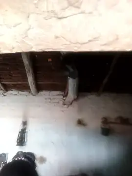 Sheema tyagi online show from October 2025 07:31:02 AM