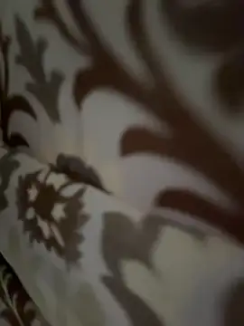 tran my online show from November 2025 05:08:02 AM