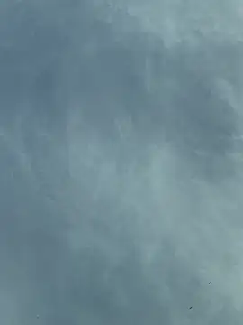 camboys poyraz online show from November 2025 01:04:02 PM