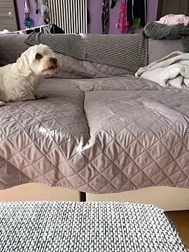 Snapshot of bananasex204 chatting on October 2025 12:02:02 PM bananasex204 online show from October 2025 12:02:02 PM