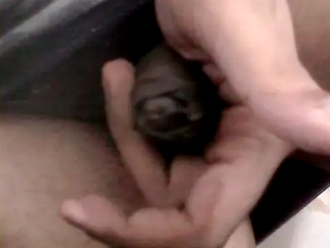 Snapshot of Bakasur_19 chatting on October 2025 03:32:01 PM Bakasur 19 online show from October 2025 03:32:01 PM