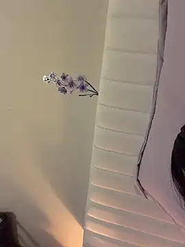 littiekitty online show from February 2026 10:50:01 PM