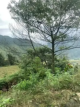 Snapshot of O_o_UwU_o_O chatting on November 2025 02:01:02 AM O o UwU o O online show from November 2025 02:01:02 AM