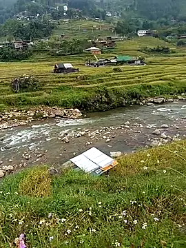 bing-bing88 online show from September 2025 03:49:01 AM