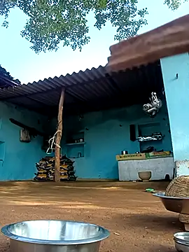 Hot-honi online show from November 2025 03:20:02 AM