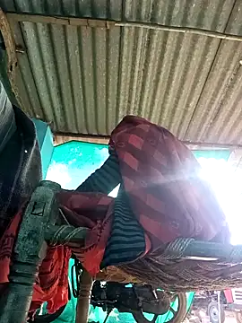 Hot-honi online show from November 2025 09:42:02 AM