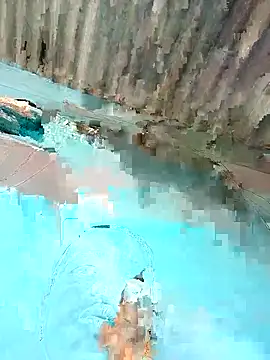 Hot-honi online show from December 2025 09:06:01 AM