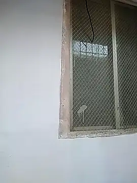 Snapshot of 7incpink chatting on December 2025 04:18:02 AM 7incpink online show from December 2025 04:18:02 AM