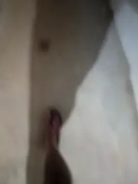 sexy  girls98 online show from November 2025 12:13:02 AM