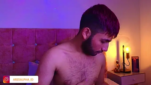 Snapshot of Ares_Alpha chatting on October 2025 08:04:01 PM Ares Alpha online show from October 2025 08:04:01 PM