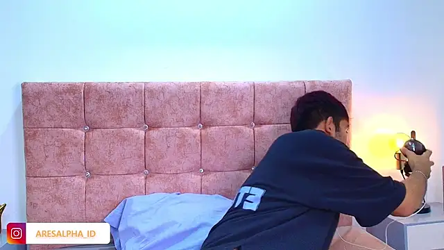 Snapshot of Ares_Alpha chatting on October 2025 08:07:02 PM Ares Alpha online show from October 2025 08:07:02 PM