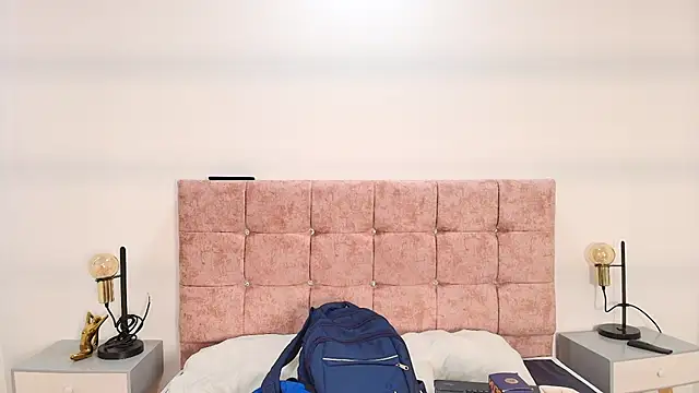 Snapshot of Ares_Alpha chatting on October 2025 07:47:02 PM Ares Alpha online show from October 2025 07:47:02 PM