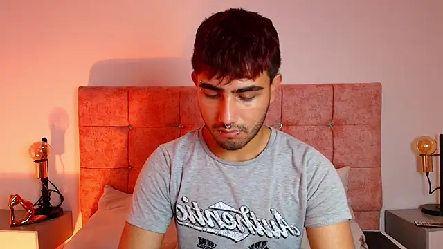 Snapshot of Ares_Alpha chatting on October 2025 08:18:01 PM Ares Alpha online show from October 2025 08:18:01 PM