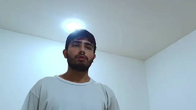 Snapshot of Ares_Alpha chatting on November 2025 07:25:02 PM Ares Alpha online show from November 2025 07:25:02 PM