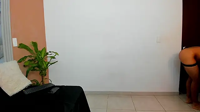  online show from November 2025 01:21:02 PM