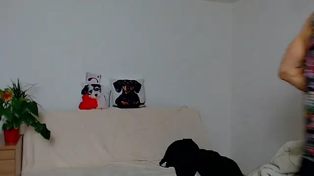 ZeinMiracles online show from November 2025 08:23:02 PM