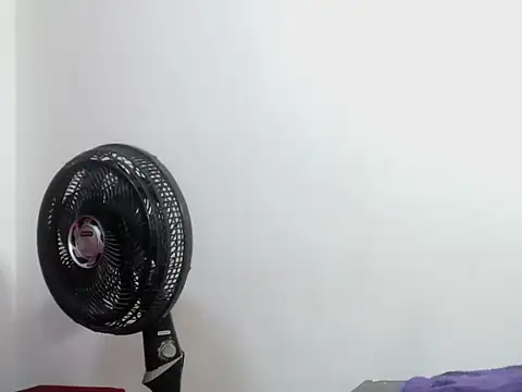 Andy 22cm online show from November 2025 11:42:02 AM