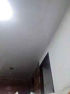 Perropa online show from March 2026 01:23:01 AM