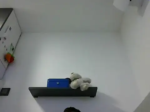 IMGTomi online show from June 2026 03:42:01 AM