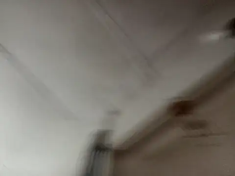 isabella brown1 online show from March 2026 11:09:01 PM