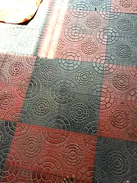 Telugu coupul online show from October 2025 06:01:02 AM