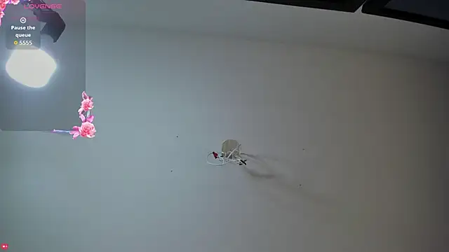 Snapshot of Ashleymorgan_vc chatting on September 2025 08:21:02 PM Ashleymorgan vc online show from September 2025 08:21:02 PM