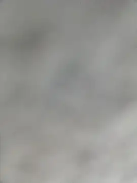 SmartLoda143 online show from February 2026 03:04:01 PM