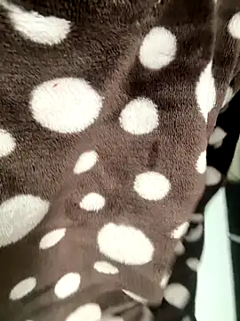 HeerStd online show from November 2025 05:24:01 AM