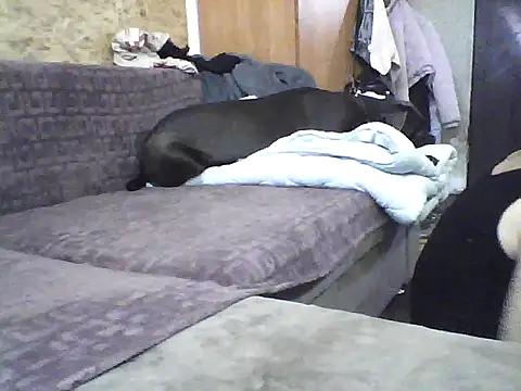 Snapshot of Milana38 chatting on October 2025 09:50:02 AM Milana38 online show from October 2025 09:50:02 AM