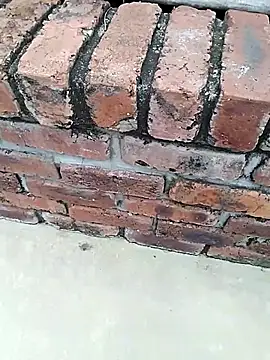 BigboyDick2 online show from November 2025 09:08:02 AM