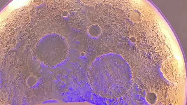  Noah19 online show from October 2025 07:04:02 PM