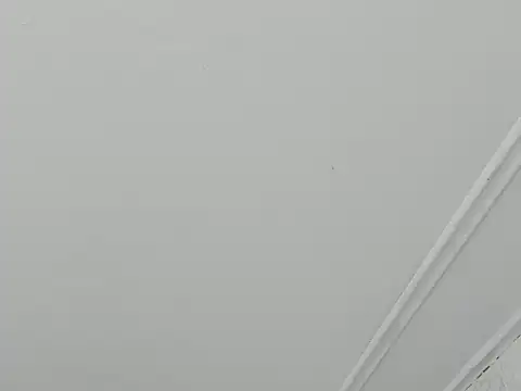 paull george online show from November 2025 05:48:01 PM