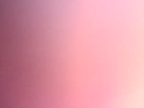 Snapshot of Dropdingo chatting on November 2025 11:14:02 PM Dropdingo online show from November 2025 11:14:02 PM