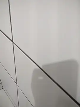 Snapshot of Novin23cms chatting on November 2025 11:24:01 PM Novin23cms online show from November 2025 11:24:01 PM