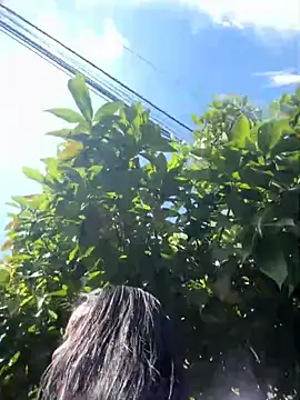 Snapshot of Sophie_Dreamss chatting on October 2025 07:33:01 PM Sophie Dreamss online show from October 2025 07:33:01 PM