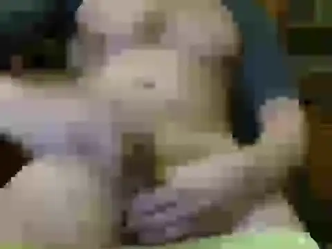 italian max sex online show from November 2025 11:25:01 PM