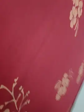 Snapshot of Bangalore-Seema chatting on September 2025 04:36:02 AM Bangalore-Seema online show from September 2025 04:36:02 AM