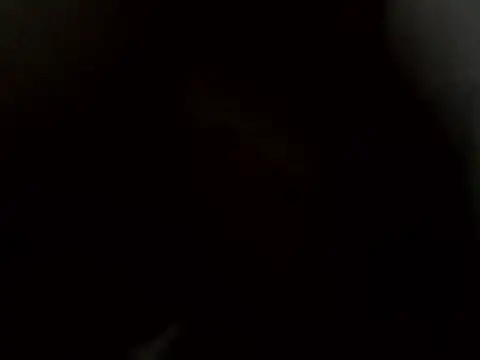 angelitocalientico online show from November 2025 10:47:01 AM