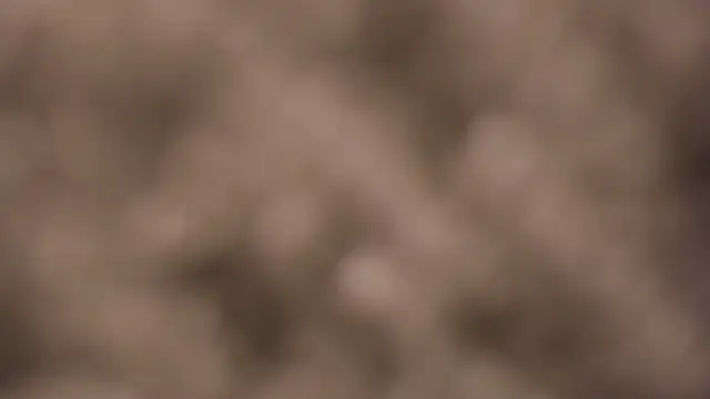 Snapshot of lauren_bigboobs22 chatting on March 2026 06:14:02 PM lauren bigboobs22 online show from March 2026 06:14:02 PM