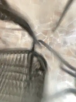 Adele Pinkk online show from October 2025 11:51:02 AM