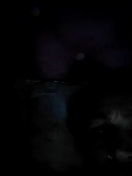 Snapshot of Malditobandido chatting on September 2025 04:40:02 AM Malditobandido online show from September 2025 04:40:02 AM