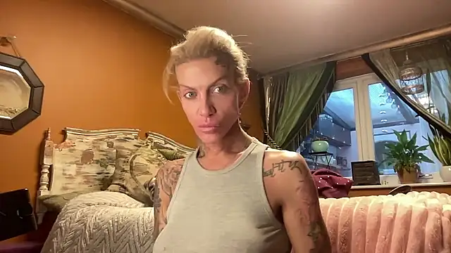 xl uk top trans online show from January 2026 08:52:01 AM